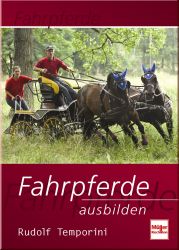 Fahrpferde ausbilden