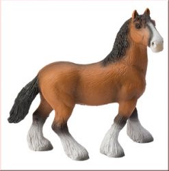 Shire Horse Stute