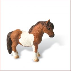 Shetlandpony