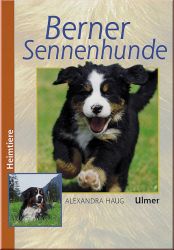 Berner Sennenhunde