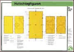 Hufschlagfiguren