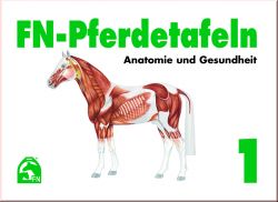 FN-Pferdetafeln 1 - Anatomie und Gesundheit