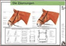 Z�umungen