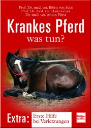 Krankes Pferd - was tun?
