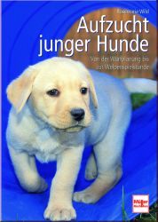 Aufzucht junger Hunde