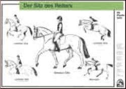 Der Sitz des Reiters