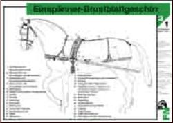 Eins�nner-Brustblattgeschirr
