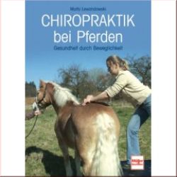 Chiropraktik bei Pferden