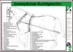 Zweisp�nner-Kumtgeschirr