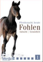 Pferdezucht heute: Fohlen