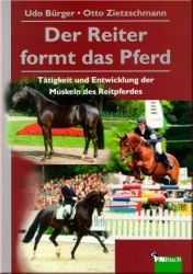 Der Reiter formt das Pferd