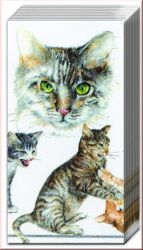 Taschent�cher Katze