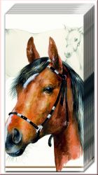 Taschent�cher Pferd