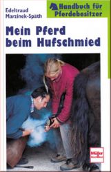 Mein Pferd beim Hufschmied