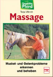 Massage - Muskel- und Gelenkprobleme erkennen und beheben