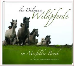 Die D�lmener Wildpferde