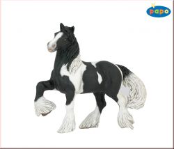 Cob Irlandais (Irish Cob) Papo