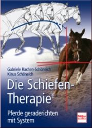Die Schiefen-Therapie