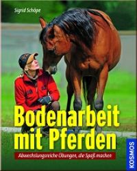 Bodenarbeit mit Pferden
