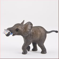 Elefantenkalb Emil