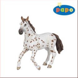 Appaloosa Stute Papo