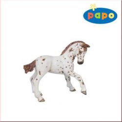 Appaloosa Fohlen Papo