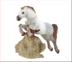 Connemara Pony