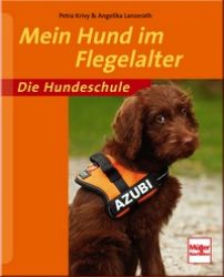 Mein Hund im Flegelalter