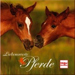 Liebenswerte Pferde