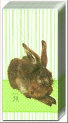 Taschent�cher D�rer Hase green
