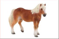 Haflinger Stute Bullyland