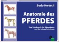 Anatomie des Pferdes