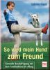 So wird mein Hund zum Freund