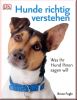 Hunde richtig verstehen