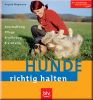Hunde richtig halten