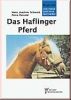 Das Haflinger Pferd