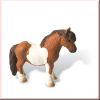 Shetlandpony
