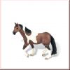 Quarter Horse Stute
