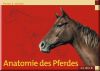 Anatomie des Pferdes
