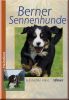 Berner Sennenhunde