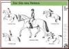 Der Sitz des Reiters