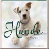 Hunde - Treue Freunde
