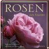 Rosen zum Tr�umen