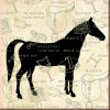 Horse Classics - Serviette creme