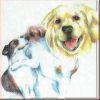 Serviette Hund