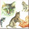 Lunch-Serviette Katze
