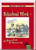 Schicksal Pferd