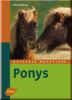 Ponys