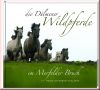 Die D�lmener Wildpferde