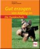 Gut erzogen von Anfang an